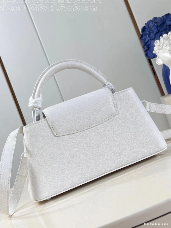 Aaa replica bags BB-29*16.5*9CM LOUIS VUITTON CAPUCINES 0816